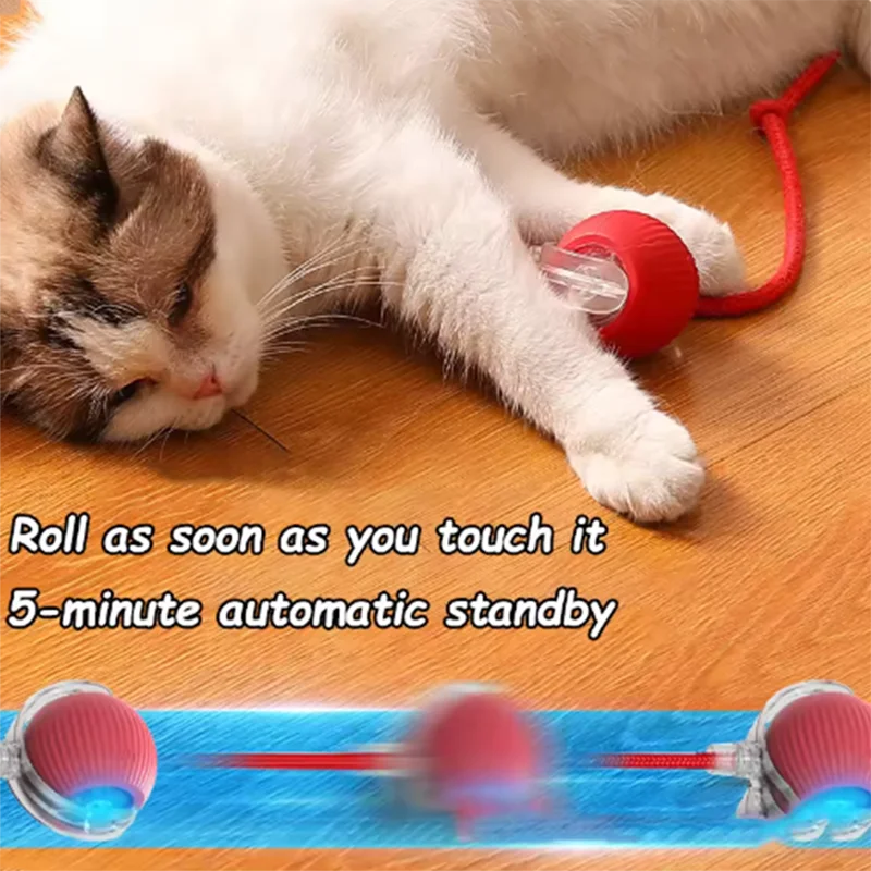 Balle interactive intelligente pour chat, durable, facile à nettoyer, évitement intelligent des obstacles, jouets pour chiens de compagnie