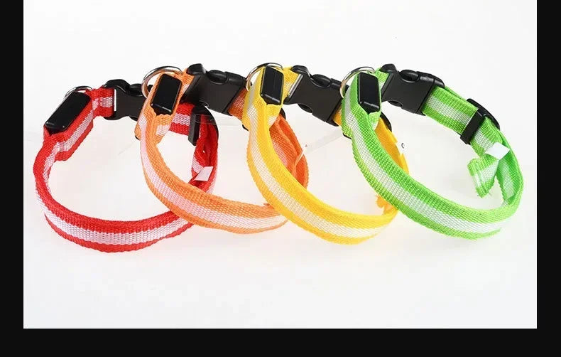طوق كلب من النايلون LED للسلامة الليلية ومضيء في الظلام، مقود كلب للحيوانات الأليفة، أحزمة كلاب مضيئة ومتوهجة، إكسسوارات كلاب، طوق