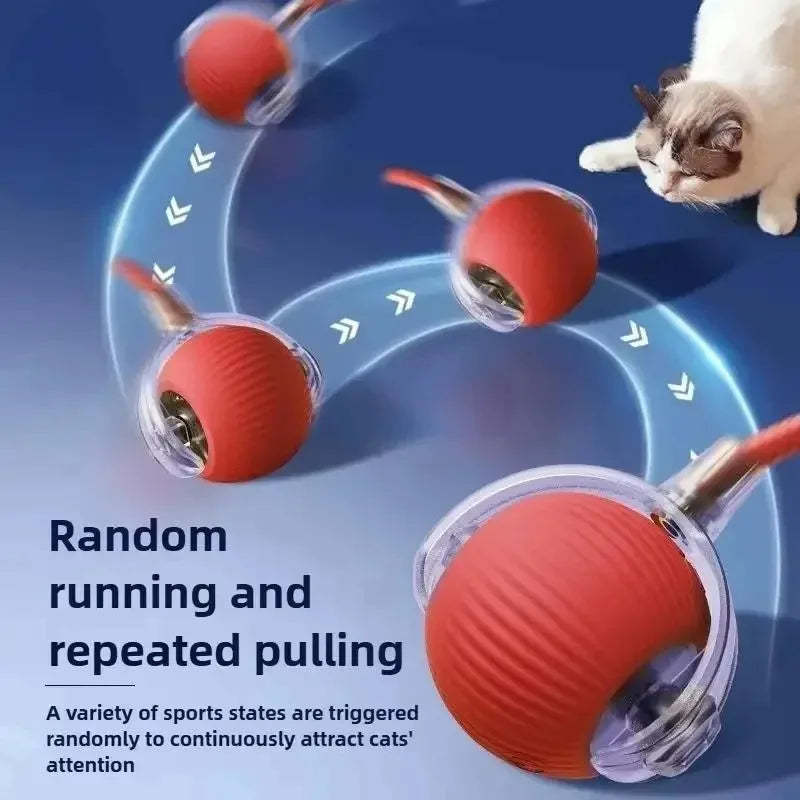 New Cat Interactive Ball Toy,Smart Kitten Interactive ToyAutomatic Rolling Cat Ball Rechargeable ,Intelligent Balls Toy for Cat