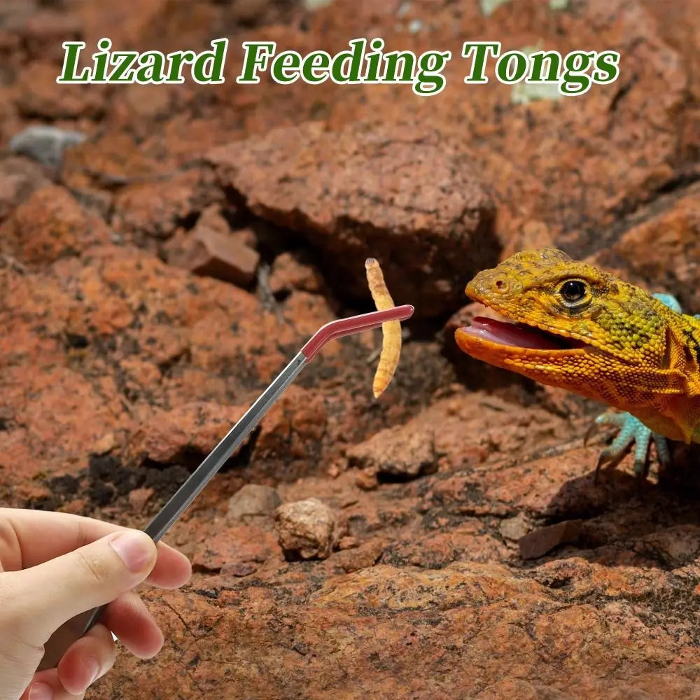 Nouvelles pinces d'alimentation pour aquarium de 27 cm en acier inoxydable, outils de clip pour aquarium, pinces d'alimentation pour reptiles, antidérapantes en caoutchouc