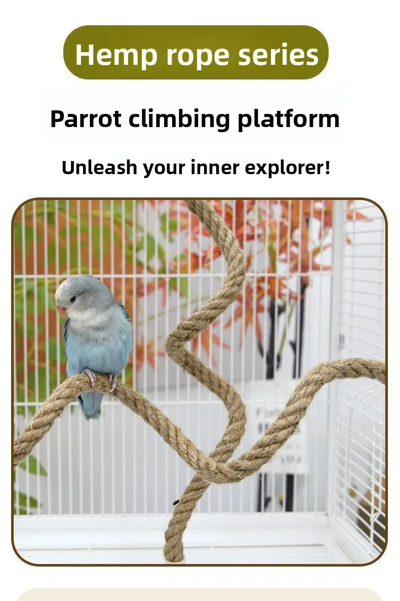 Perchoir à oiseaux en corde de lin antidérapant, pliable, à faire soi-même, avec ventouse, jouet d'escalade stable pour petits et moyens oiseaux