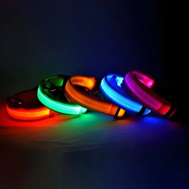 طوق كلب من النايلون LED للسلامة الليلية ومضيء في الظلام، مقود كلب للحيوانات الأليفة، أحزمة كلاب مضيئة ومتوهجة، إكسسوارات كلاب، طوق