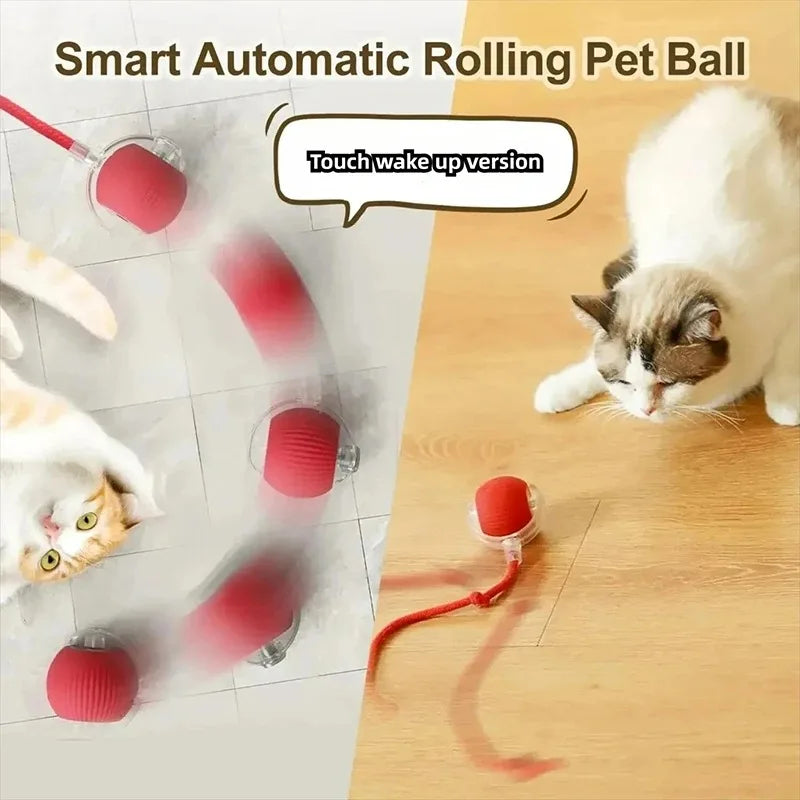 New Cat Interactive Ball Toy,Smart Kitten Interactive ToyAutomatic Rolling Cat Ball Rechargeable ,Intelligent Balls Toy for Cat