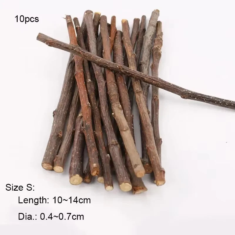 5pcs 10pcs 40pcs Bâton à Mâcher Branche de Pommier Hamster Écureuil Jouets Naturels Perroquets Lapins Bâton de Broyage