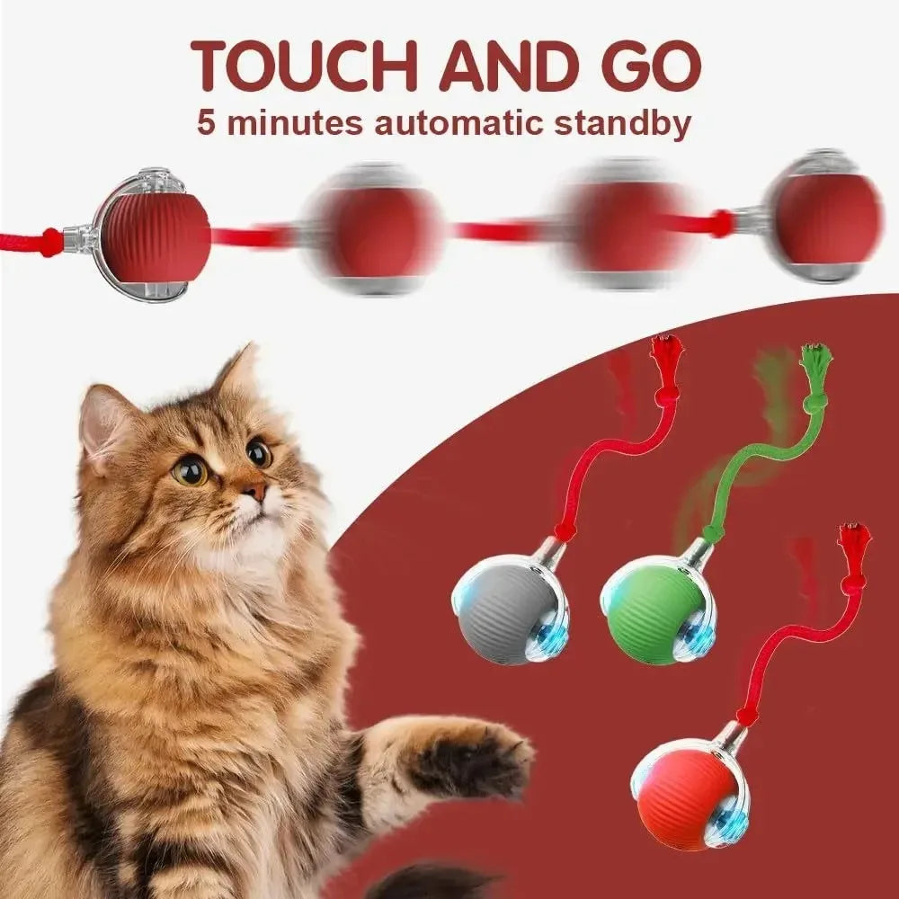 New Cat Interactive Ball Toy,Smart Kitten Interactive ToyAutomatic Rolling Cat Ball Rechargeable ,Intelligent Balls Toy for Cat