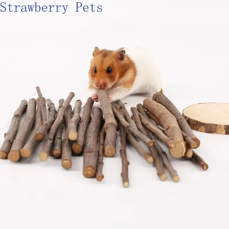 5pcs 10pcs 40pcs Bâton à Mâcher Branche de Pommier Hamster Écureuil Jouets Naturels Perroquets Lapins Bâton de Broyage