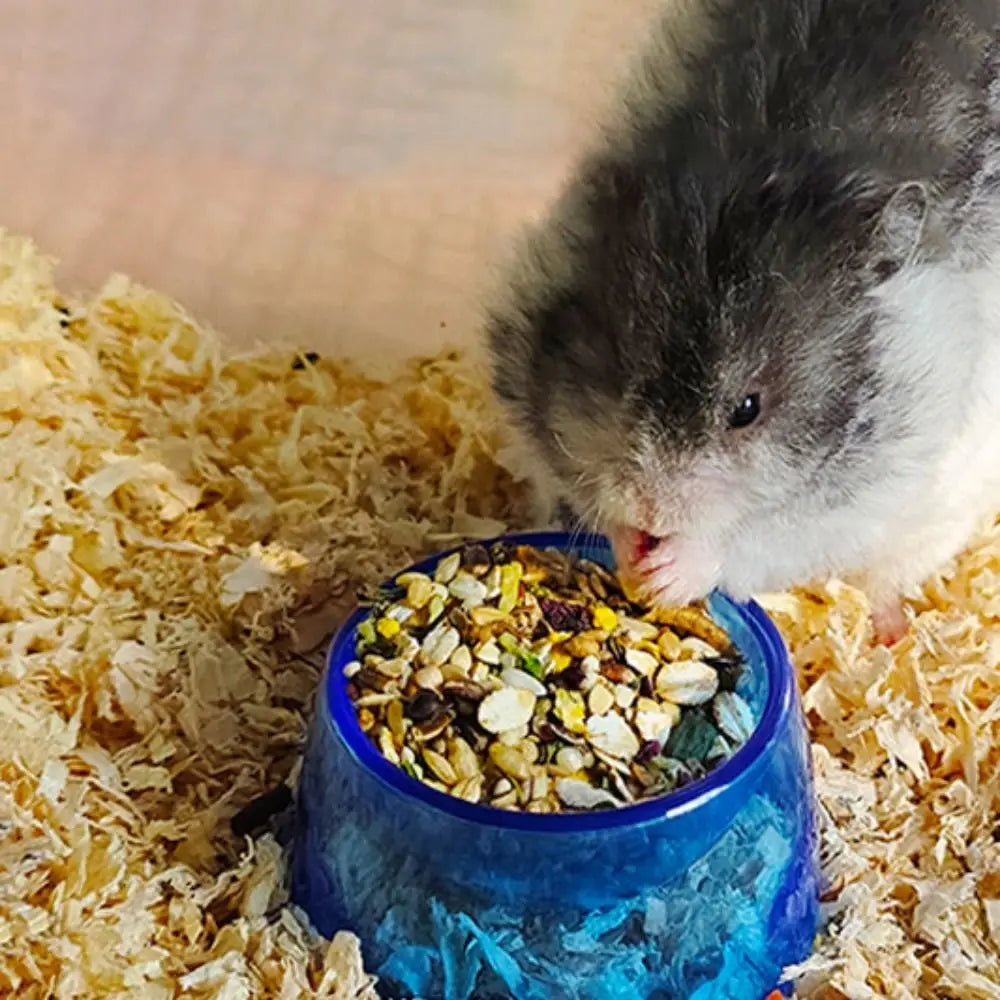 Bite Resistant Hamster Food Basin Non-slip Plastic Hamster Water Bowl Transparent Rat Food Water Dish