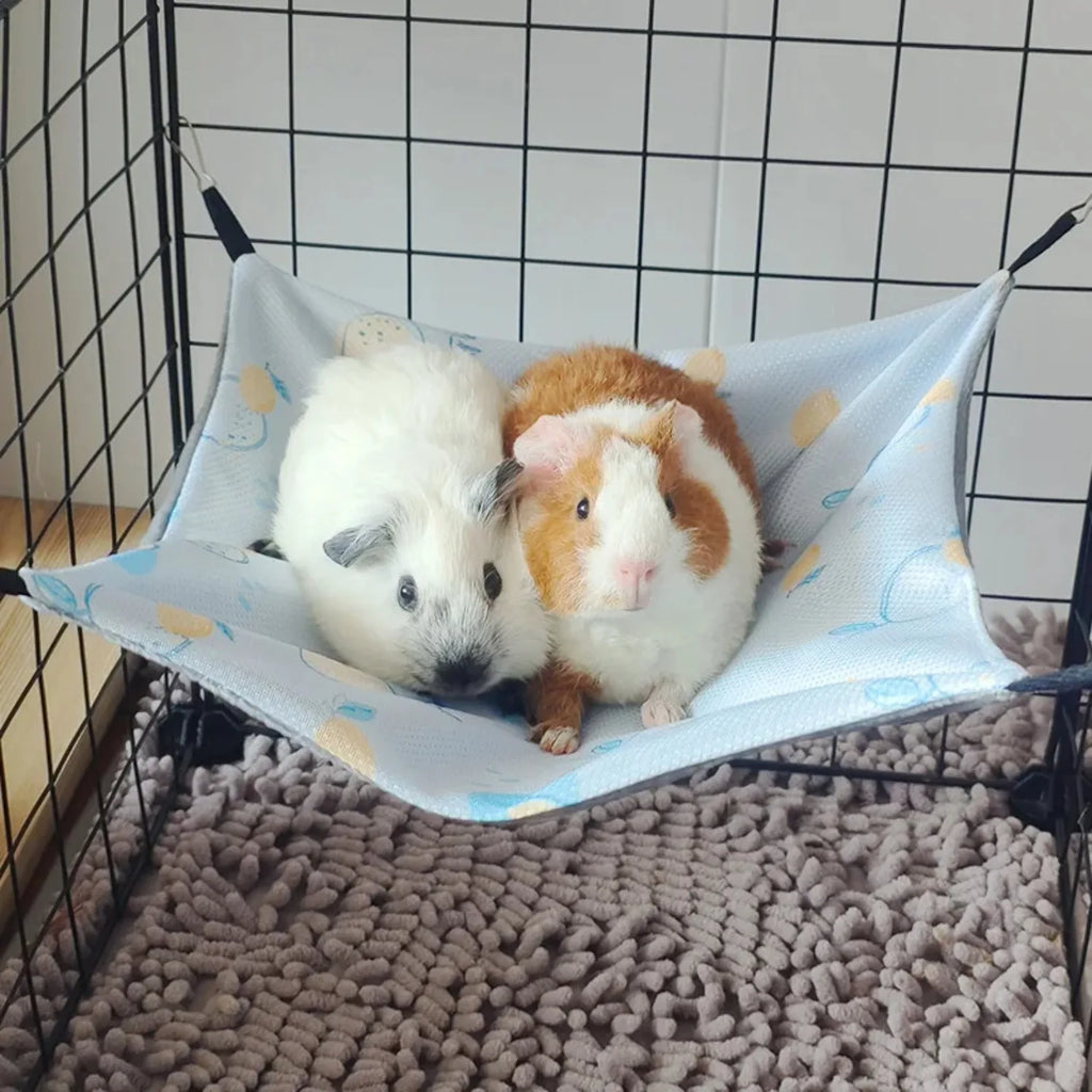 Hamac suspendu rafraîchissant d'été pour hamster – Lit en rotin pour chinchillas, phalangers volants, écureuils, furets, petits animaux de compagnie