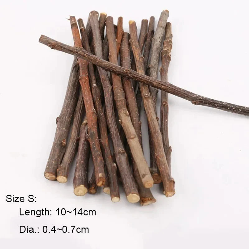 5pcs 10pcs 40pcs Bâton à Mâcher Branche de Pommier Hamster Écureuil Jouets Naturels Perroquets Lapins Bâton de Broyage