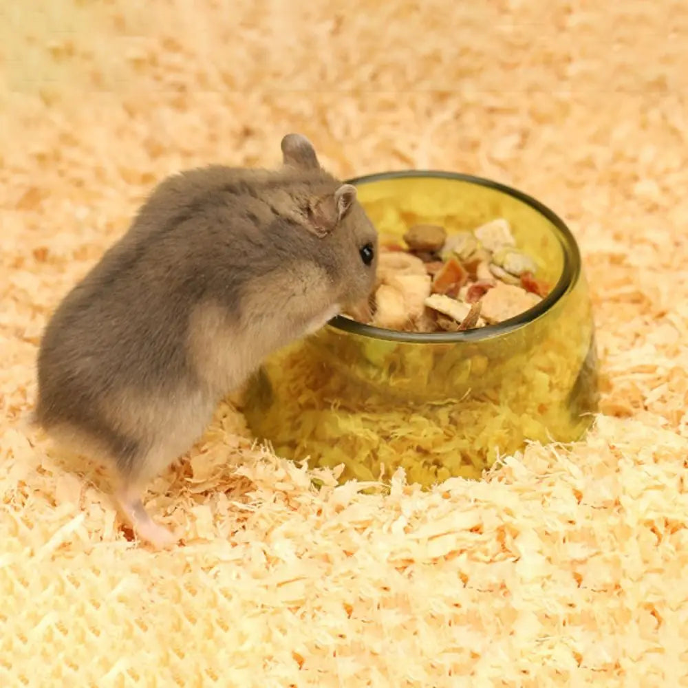 Bite Resistant Hamster Food Basin Non-slip Plastic Hamster Water Bowl Transparent Rat Food Water Dish