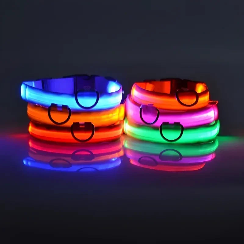 طوق كلب من النايلون LED للسلامة الليلية ومضيء في الظلام، مقود كلب للحيوانات الأليفة، أحزمة كلاب مضيئة ومتوهجة، إكسسوارات كلاب، طوق