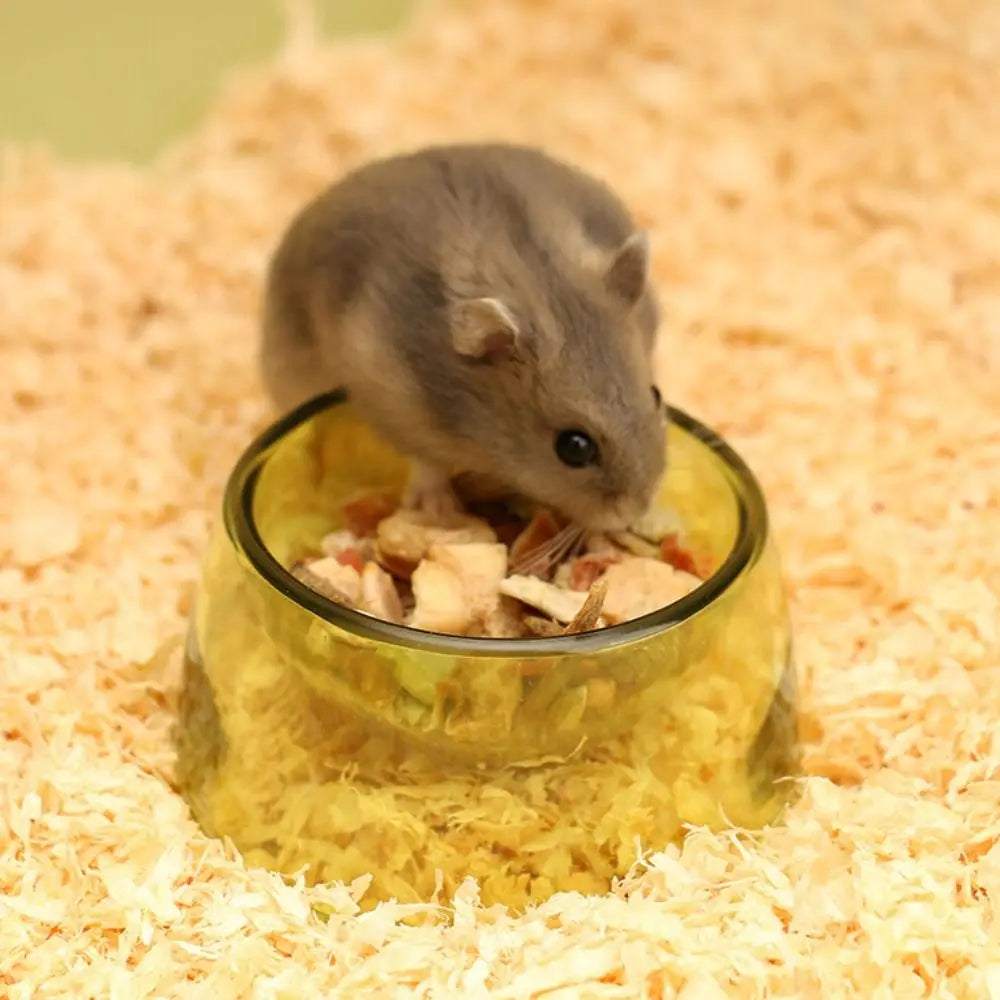 Bite Resistant Hamster Food Basin Non-slip Plastic Hamster Water Bowl Transparent Rat Food Water Dish