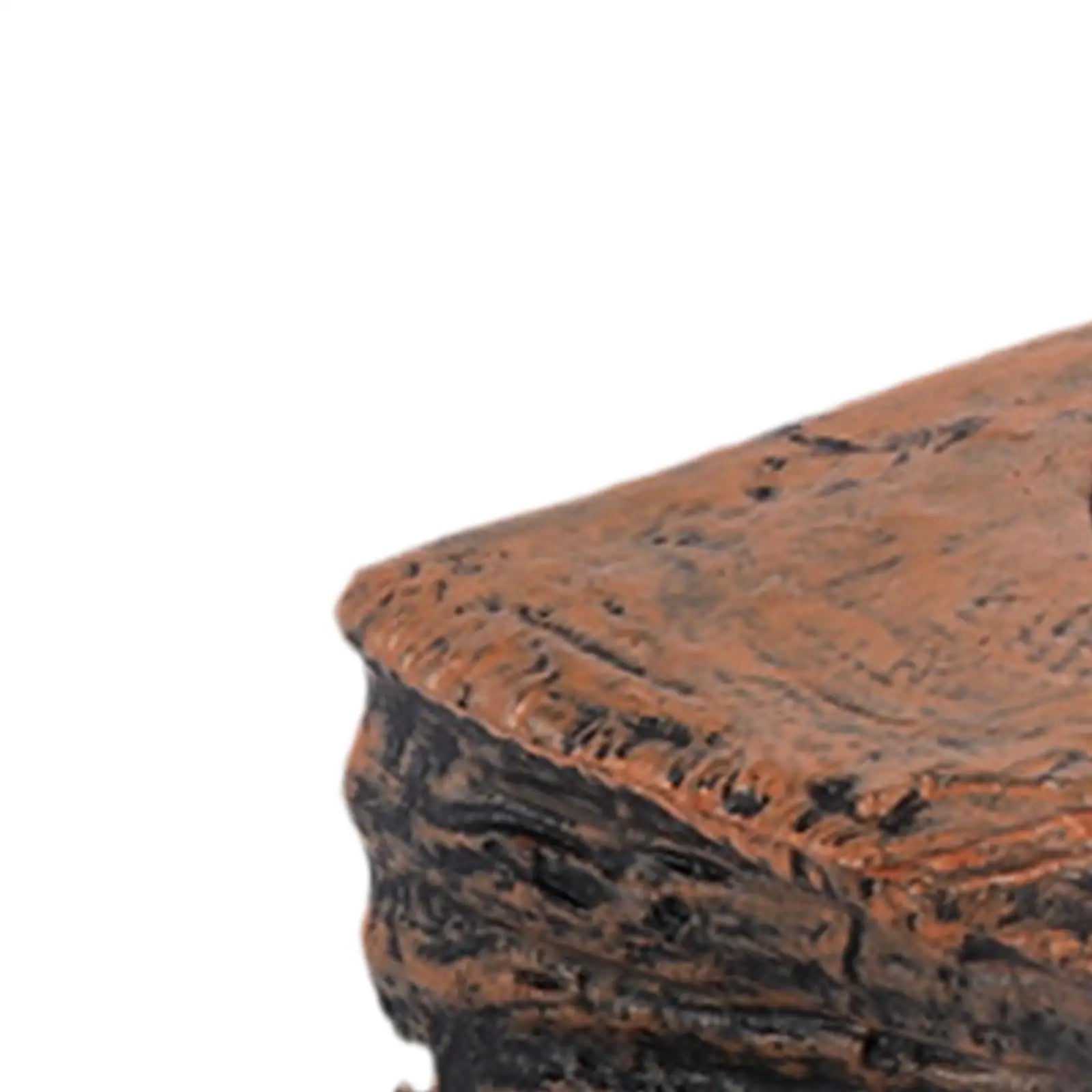إكسسوارات الزواحف، وعاء طعام بلاستيكي ممغنط للزواحف، طبق طعام للسحالي، الإغوانا، لوازم تررم.
