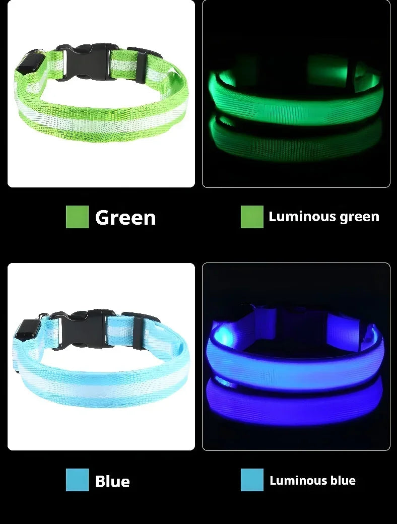 طوق كلب من النايلون LED للسلامة الليلية ومضيء في الظلام، مقود كلب للحيوانات الأليفة، أحزمة كلاب مضيئة ومتوهجة، إكسسوارات كلاب، طوق