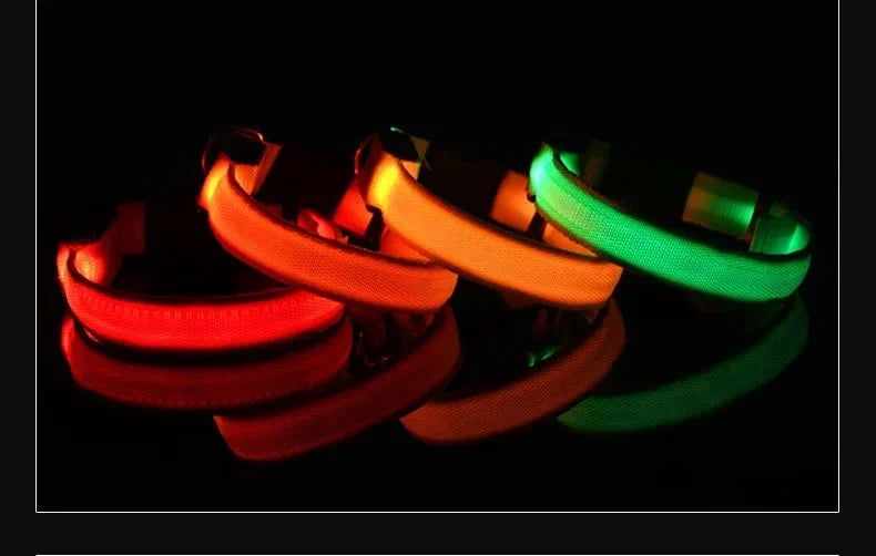 طوق كلب من النايلون LED للسلامة الليلية ومضيء في الظلام، مقود كلب للحيوانات الأليفة، أحزمة كلاب مضيئة ومتوهجة، إكسسوارات كلاب، طوق