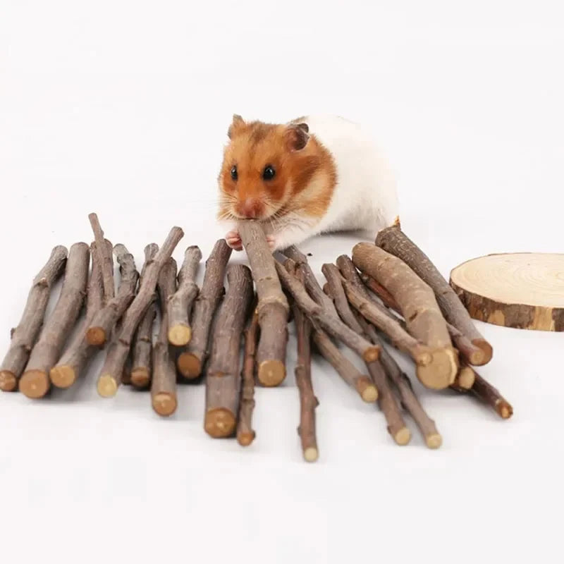 5pcs 10pcs 40pcs Bâton à Mâcher Branche de Pommier Hamster Écureuil Jouets Naturels Perroquets Lapins Bâton de Broyage
