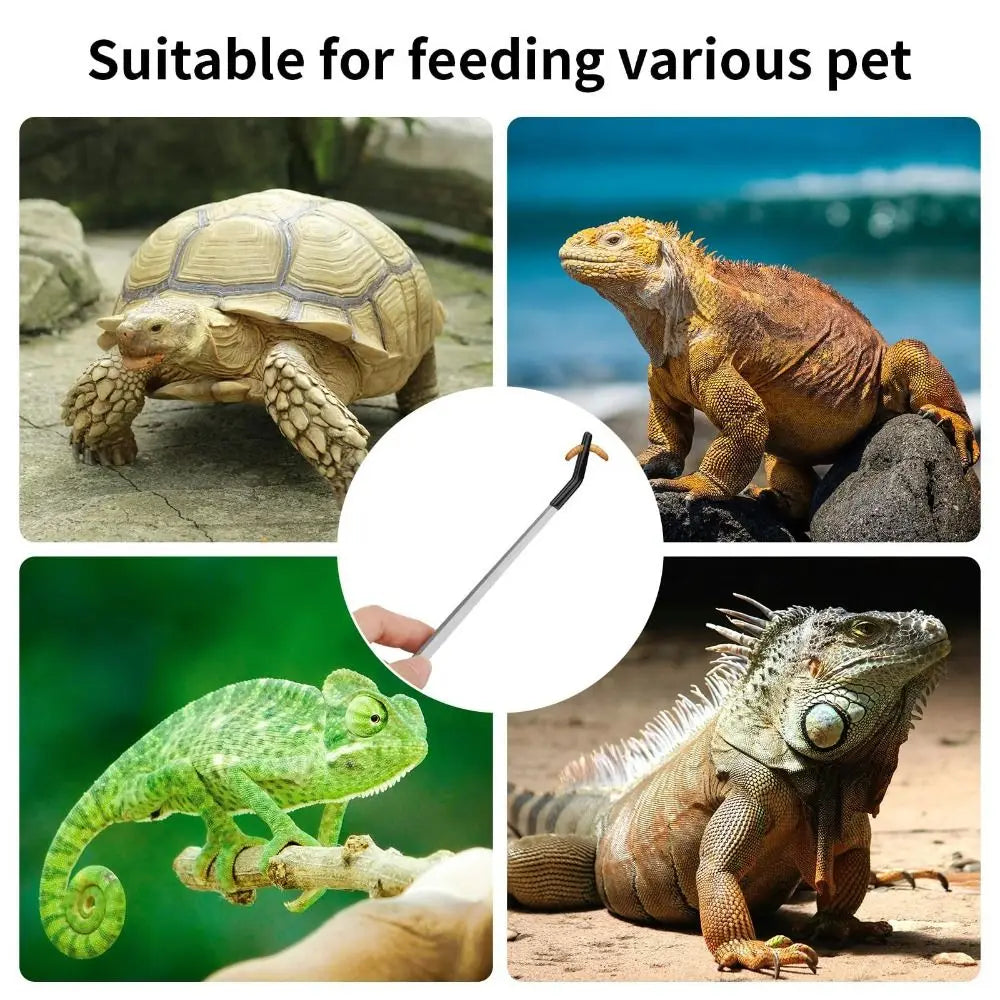 Nouvelles pinces d'alimentation pour aquarium de 27 cm en acier inoxydable, outils de clip pour aquarium, pinces d'alimentation pour reptiles, antidérapantes en caoutchouc