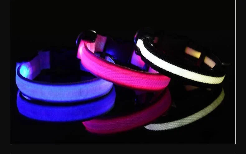 طوق كلب من النايلون LED للسلامة الليلية ومضيء في الظلام، مقود كلب للحيوانات الأليفة، أحزمة كلاب مضيئة ومتوهجة، إكسسوارات كلاب، طوق