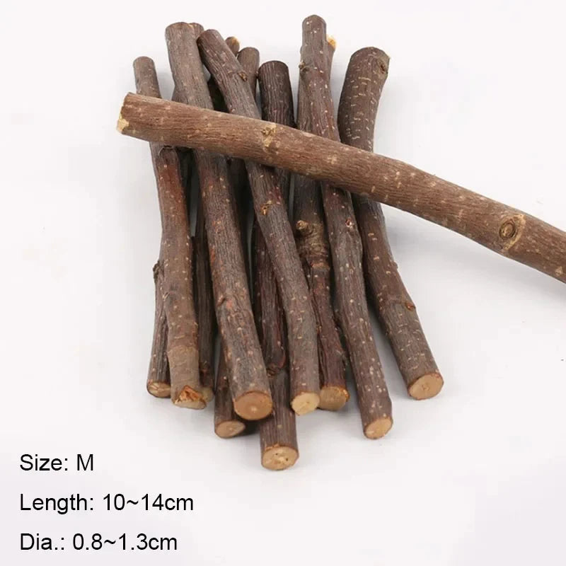 5pcs 10pcs 40pcs Bâton à Mâcher Branche de Pommier Hamster Écureuil Jouets Naturels Perroquets Lapins Bâton de Broyage