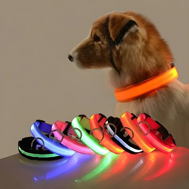 طوق كلب من النايلون LED للسلامة الليلية ومضيء في الظلام، مقود كلب للحيوانات الأليفة، أحزمة كلاب مضيئة ومتوهجة، إكسسوارات كلاب، طوق