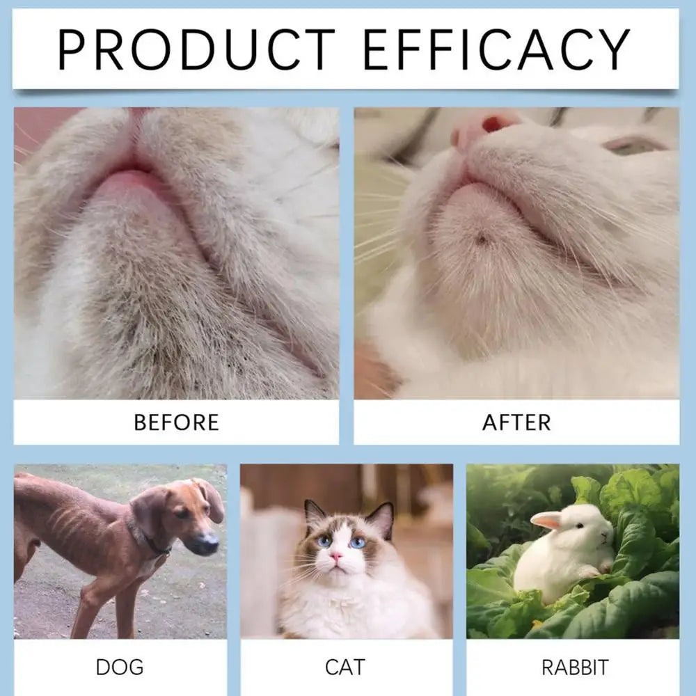 Nouveau Nettoyant pour Menton de Chat 30g Lotion Nettoyante Points Noirs avec Brosse Nettoyant Profond Efficace Spray Nettoyant Doux pour Chiens Chats