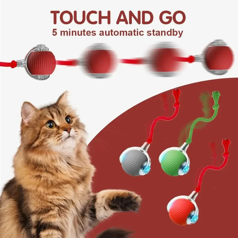 New Cat Interactive Ball Toy,Smart Kitten Interactive ToyAutomatic Rolling Cat Ball Rechargeable ,Intelligent Balls Toy for Cat
