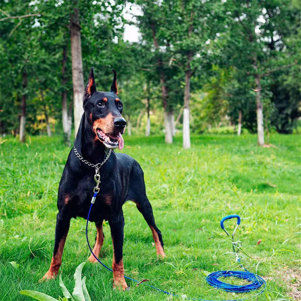 Collier étrangleur pour chien Pet P Snake Chain Collier étrangleur pour chien en acier inoxydable Collier de dressage réglable pour bouledogue