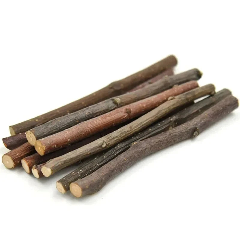 5pcs 10pcs 40pcs Bâton à Mâcher Branche de Pommier Hamster Écureuil Jouets Naturels Perroquets Lapins Bâton de Broyage