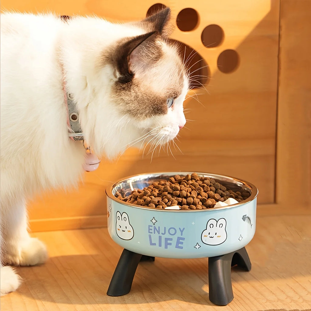 Gamelle surélevée antidérapante en acier inoxydable pour chiens et chats de petite taille - Conception anti-débordement avec motif mignon