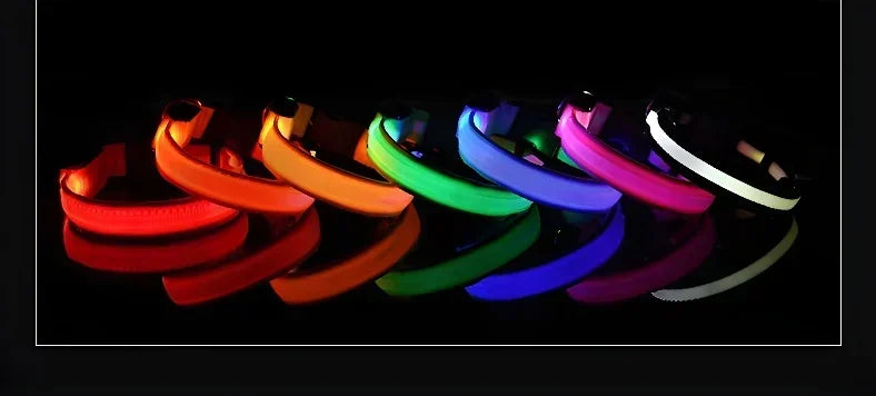 طوق كلب من النايلون LED للسلامة الليلية ومضيء في الظلام، مقود كلب للحيوانات الأليفة، أحزمة كلاب مضيئة ومتوهجة، إكسسوارات كلاب، طوق