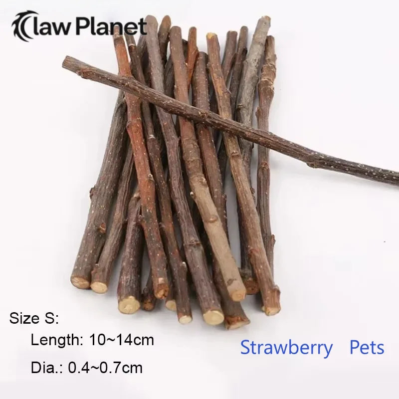 5pcs 10pcs 40pcs Bâton à Mâcher Branche de Pommier Hamster Écureuil Jouets Naturels Perroquets Lapins Bâton de Broyage