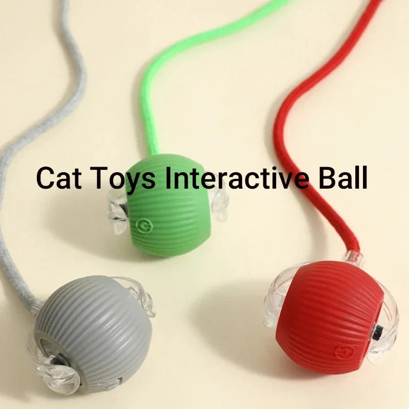 New Cat Interactive Ball Toy,Smart Kitten Interactive ToyAutomatic Rolling Cat Ball Rechargeable ,Intelligent Balls Toy for Cat
