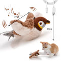 Jouet interactif pour chat électrique, jouet en peluche simulant le chant d'oiseau, jouet pour animaux de compagnie en forme d'oiseau avec plumes