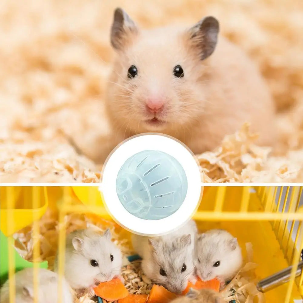 Jogging Balls Toys Jogging Wheel For Hamsters Safe Running Hamster Wheel Small Animal Exercise Balls For Your Pet