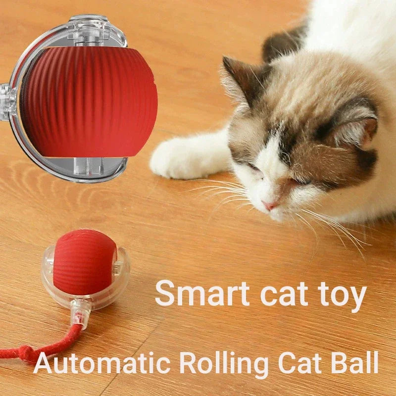 New Cat Interactive Ball Toy,Smart Kitten Interactive ToyAutomatic Rolling Cat Ball Rechargeable ,Intelligent Balls Toy for Cat