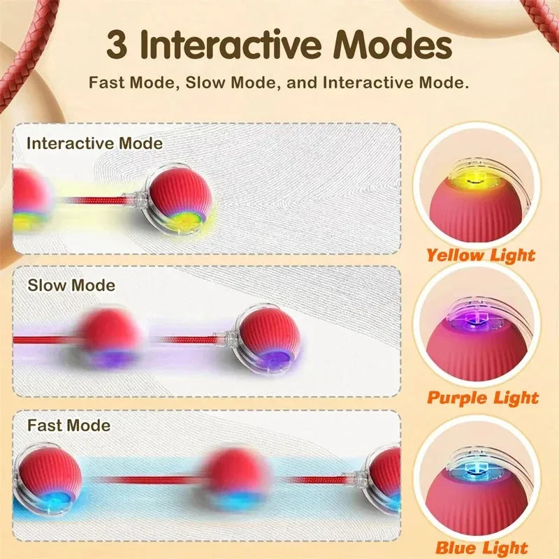 New Cat Interactive Ball Toy,Smart Kitten Interactive ToyAutomatic Rolling Cat Ball Rechargeable ,Intelligent Balls Toy for Cat