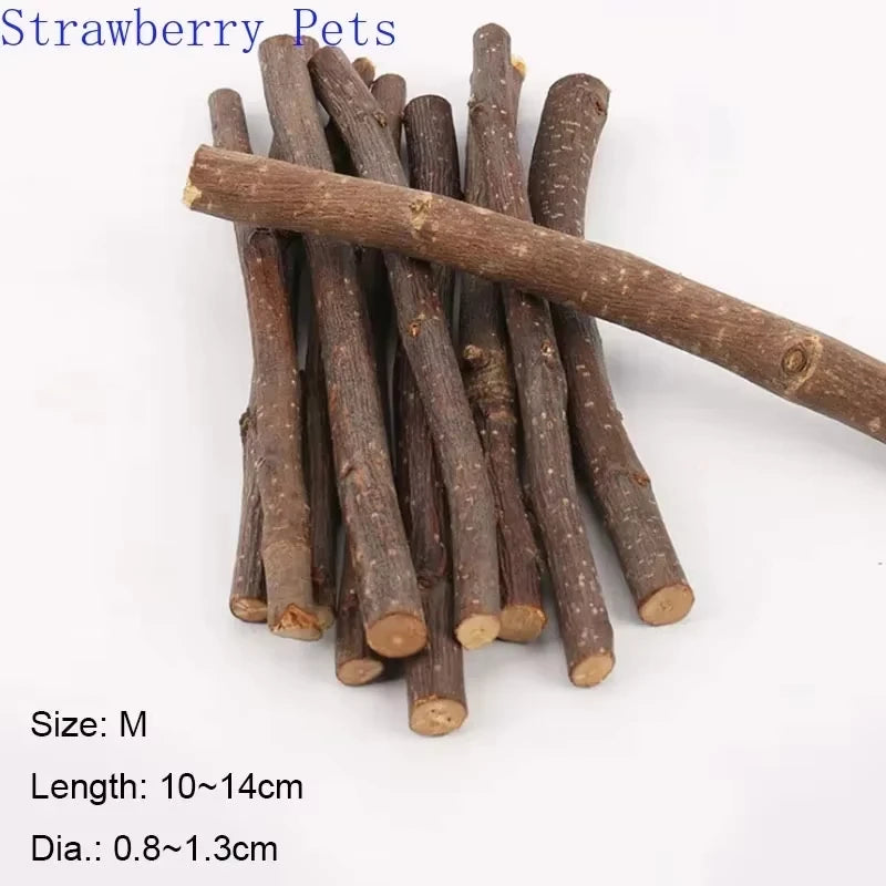 5pcs 10pcs 40pcs Bâton à Mâcher Branche de Pommier Hamster Écureuil Jouets Naturels Perroquets Lapins Bâton de Broyage