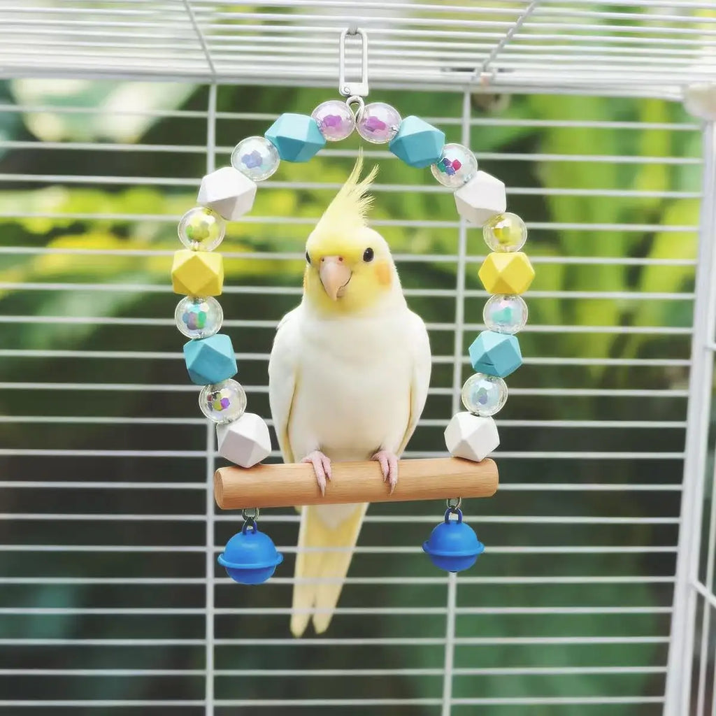 Perroquet Oiseau Balançoire Acrylique Clochette Jouet Petit Moyen Animal Cadre Support Cage à Oiseaux Accessoires Divertissement Sucre Planeur