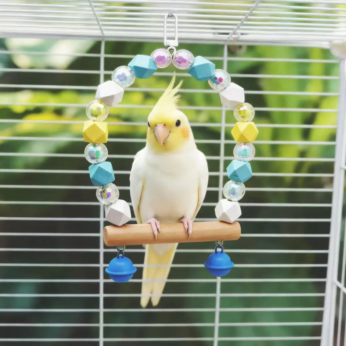 Perroquet Oiseau Balançoire Acrylique Clochette Jouet Petit Moyen Animal Cadre Support Cage à Oiseaux Accessoires Divertissement Sucre Planeur