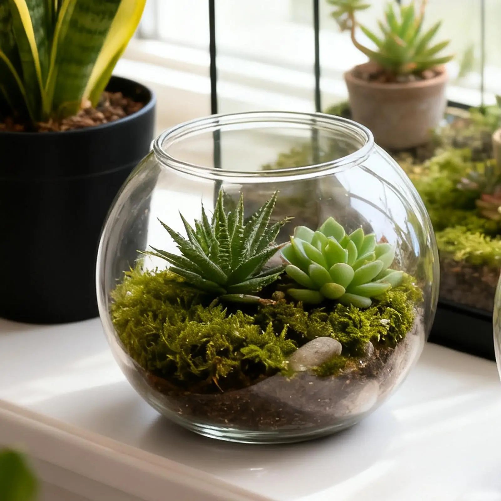 Decorative Aquarium Mini Fish Bowl Desktop Clear Landscape Fish Tank Bubble Planter Bowl For Table Centerpiece Party Decor