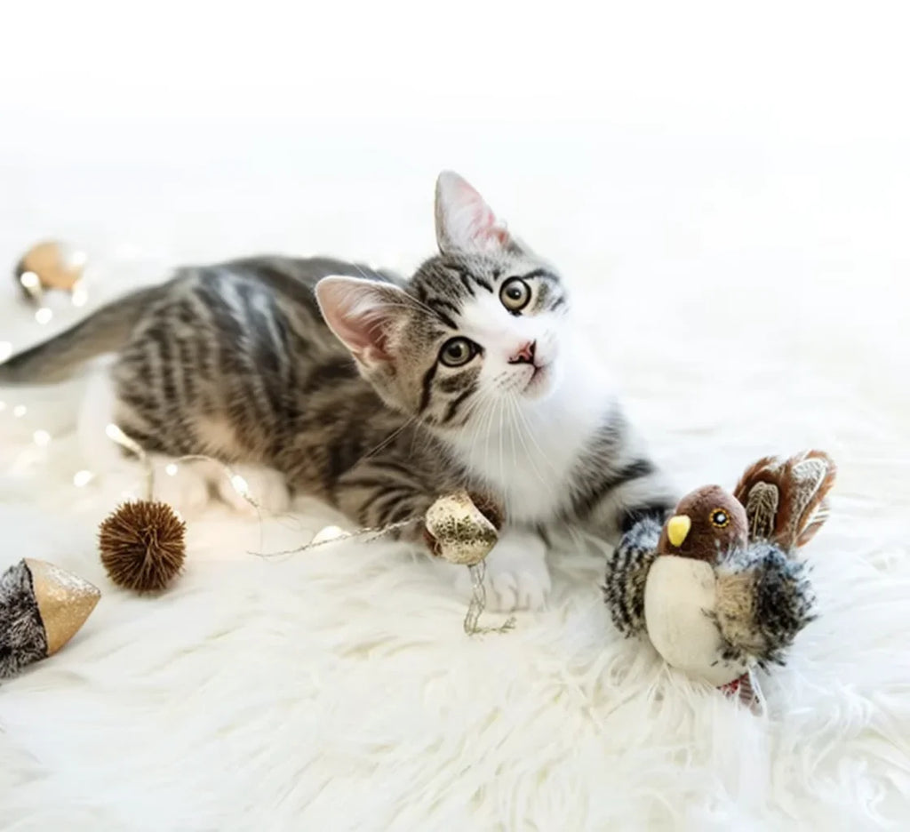 Jouet interactif pour chat électrique, jouet en peluche simulant le chant d'oiseau, jouet pour animaux de compagnie en forme d'oiseau avec plumes
