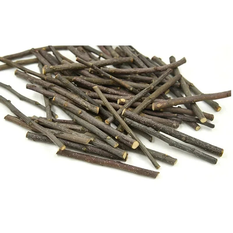 5pcs 10pcs 40pcs Bâton à Mâcher Branche de Pommier Hamster Écureuil Jouets Naturels Perroquets Lapins Bâton de Broyage