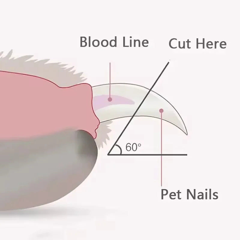 Coupe-ongles pour animaux de compagnie, coupe-ongles pour chiens et chats, ciseaux de toilettage pour griffes d'animaux de compagnie, pour chiens, chats, petits animaux, coupe-ongles pour pattes.