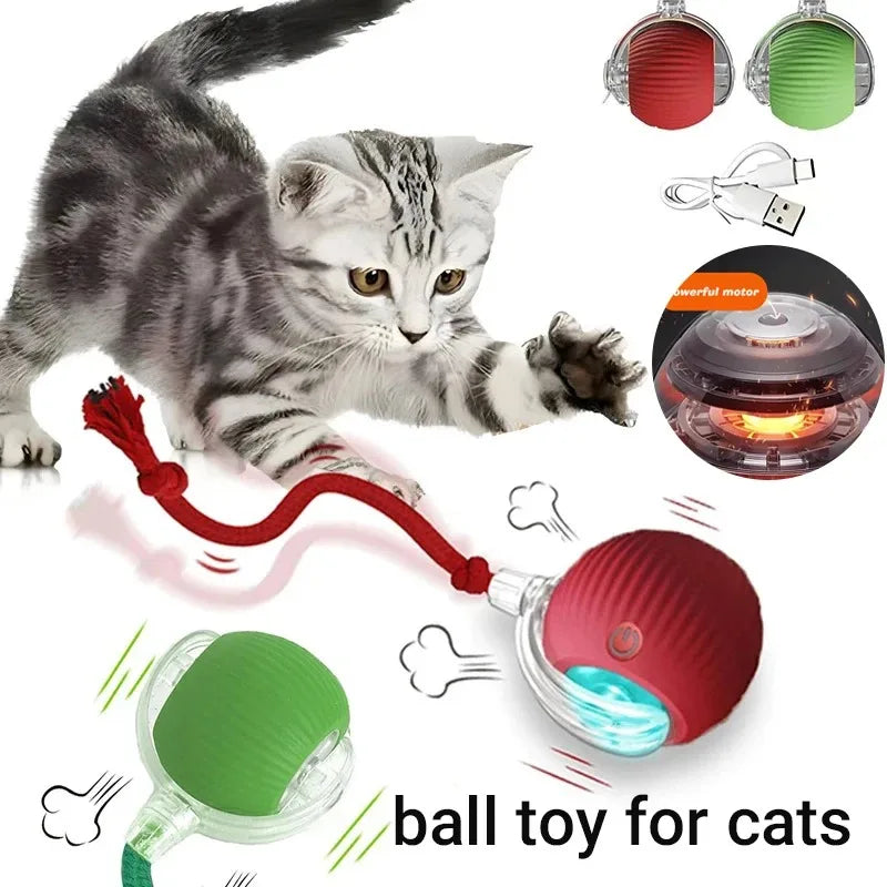 New Cat Interactive Ball Toy,Smart Kitten Interactive ToyAutomatic Rolling Cat Ball Rechargeable ,Intelligent Balls Toy for Cat